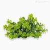 Mini Galho Pick Eucalipto Artificial (9972)