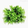 Mini Galho Pick Schefferela Artificial - Verde (9959)