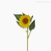 Girassol M Artificial - Amarelo (5565)