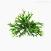 Mini Galho Hartshorn Pick C/6 Artificial - Verde (3978)