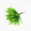 Mini Galho Springeri Pick C/6 Artificial - Verde (3977)