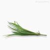 Mini Grama Grass Bush Artificial - Verde (9935)