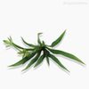 Mini Grama Grass Bush Artificial - Verde (9935)