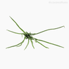 Pick Babosa Aloe Aveludado Artificial - Verde (5428)