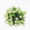 Pick Mini Galho Flowers Artificial - Amarelo Claro (9952)