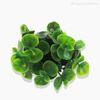 Pick Eucalyptus Artificial - Verde (9710)