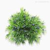 Pick Mini Boxwood c/ Frutinhas e Pó Artificial - Roxo (12639)