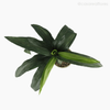 Mini Nolina Artificial - Verde (7762)