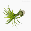Mini Dracena Artificial - Verde (7763)