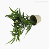 Mini Bambu Artificial - Verde (7760)
