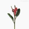 Mini Flor de Bananeira Artificial - Vermelho (7190)