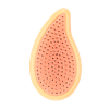 Escova De Cabelo Desembaracadora Palm Laranja Claro Wetbrush