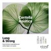 Long & Strong Shampoo 1000ml