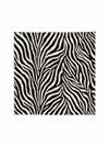 lenço zebra AC09 triya