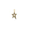 Pingente Estrela
