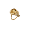 Anel Balão