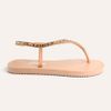 Chinelo Zatta com Strass e Tira Traseira Alana Multicolor