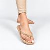 Chinelo Zatta de Dedo Strass Amora Multicolor
