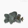 Thumb 4 do produto Galho Eucalyptus Artificial - Azul Envelhecido (9922)