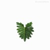 Thumb 3 do produto Galho Philodendron P Artificial - Verde Escuro (10819)