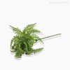 Thumb 2 do produto Mini Folhagem Fern Pick Artificial - Verde (9923)