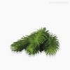Thumb 3 do produto Mini Folhagem Pine Pick Artificial - Verde Escuro (10190)