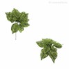 Thumb 4 do produto Poinsettia Pick Artificial - Verde (9135)