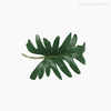 Thumb 4 do produto Mini Split Pylo Leaf Artificial - Verde (9908)