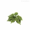 Thumb 3 do produto Poinsettia Pick Artificial - Verde (9135)