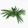 Thumb 2 do produto Planta Palmeira Kenita Artificial - Verde (9854)