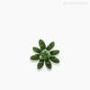 Thumb 3 do produto Suculento Artificial - Verde (10589)