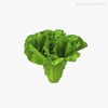 Thumb 1 do produto Verdura Escarola Artificial - Verde (11395)