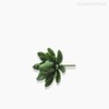 Thumb 2 do produto Suculento Artificial - Verde (10589)