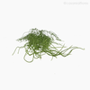 Thumb 3 do produto Buquê Folhagem Flocked Grass Artificial - Verde Escuro (11150)
