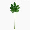 Thumb 1 do produto Galho Cannabis Artificial - Verde Escuro (11129)