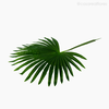 Thumb 3 do produto Galho Folha Palmeira M Artificial - Verde Escuro (11143)
