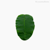 Thumb 4 do produto Folha Bananeira M Artificial - Verde Escuro (11134)
