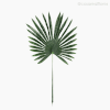 Thumb 1 do produto Galho Folha Palmeira Artificial - Verde Escuro (11144)