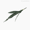 Thumb 2 do produto Espada São Jorge Artificial - Verde Escuro (11163)