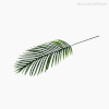 Thumb 3 do produto Galho Folha Acera Palmeira Artificial - Verde Escuro (11146)