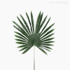 Thumb 2 do produto Galho Folha Palmeira Artificial - Verde Escuro (11144)