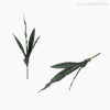 Thumb 4 do produto Espada São Jorge Artificial - Verde Escuro (11163)