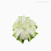 Thumb 4 do produto Couve-flor Artificial - Verde (10897)