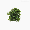 Thumb 3 do produto Topiaria Boxwood Artificial - Verde (9237)