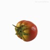 Thumb 2 do produto Tomate Artificial - Vermelho (10884)