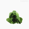Thumb 4 do produto Alface Artificial - Verde (10892)
