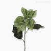 Thumb 2 do produto Galho Poinsettia Artificial - Verde (9136)