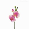 Thumb 2 do produto Orquídea Phalaenopsis (P) - PK Artificial - Rosa (9771)