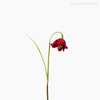 Thumb 2 do produto Tulipa Solitária Artificial - Rosa Escuro (12728)