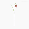 Thumb 1 do produto Tulipa Solitária Artificial - Lilás (12730)